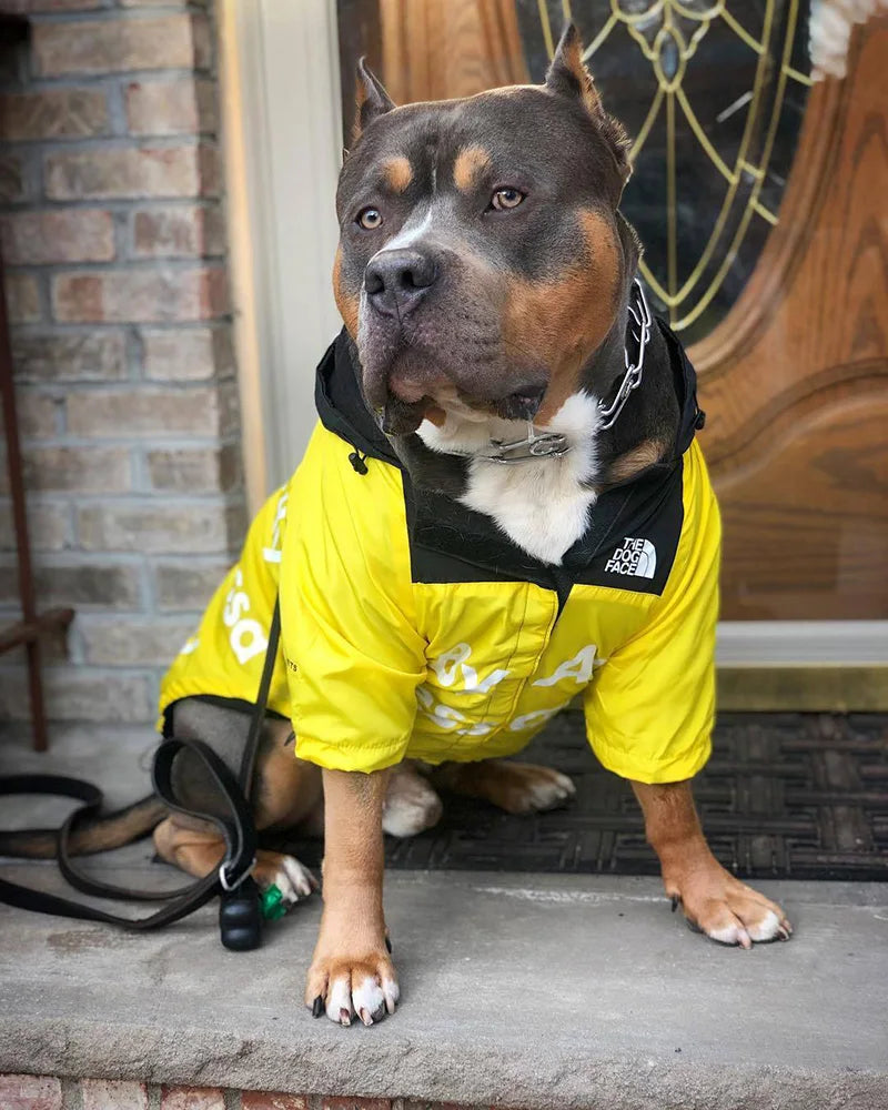 Dog Clothes Raincoat Dogs -