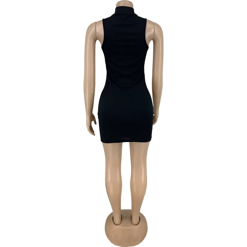 Sleeveless Dress -