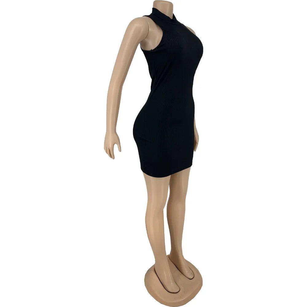 Sleeveless Dress -