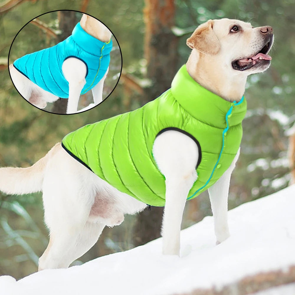 3 Layer Waterproof Outfit for Dogs -