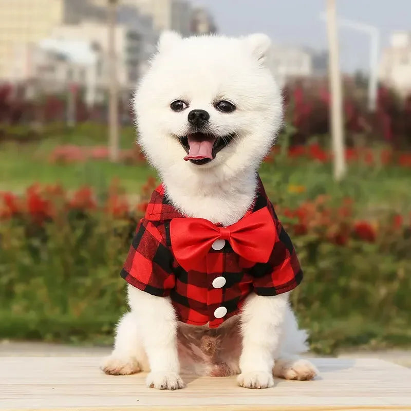 Dress your pet in a stylish plaid and striped shirt—perfect for adding a touch of sophistication to your furry friend's wardrobe! -