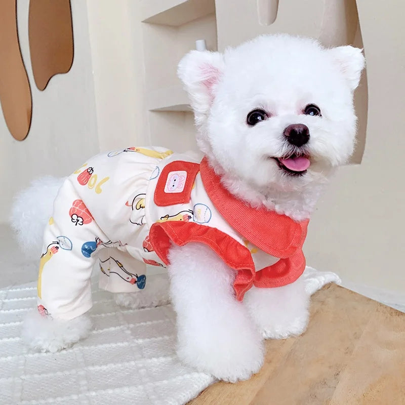 Keep your dogs comfortable at home with these cozy pet clothes—ideal for lounging and relaxing in style! -