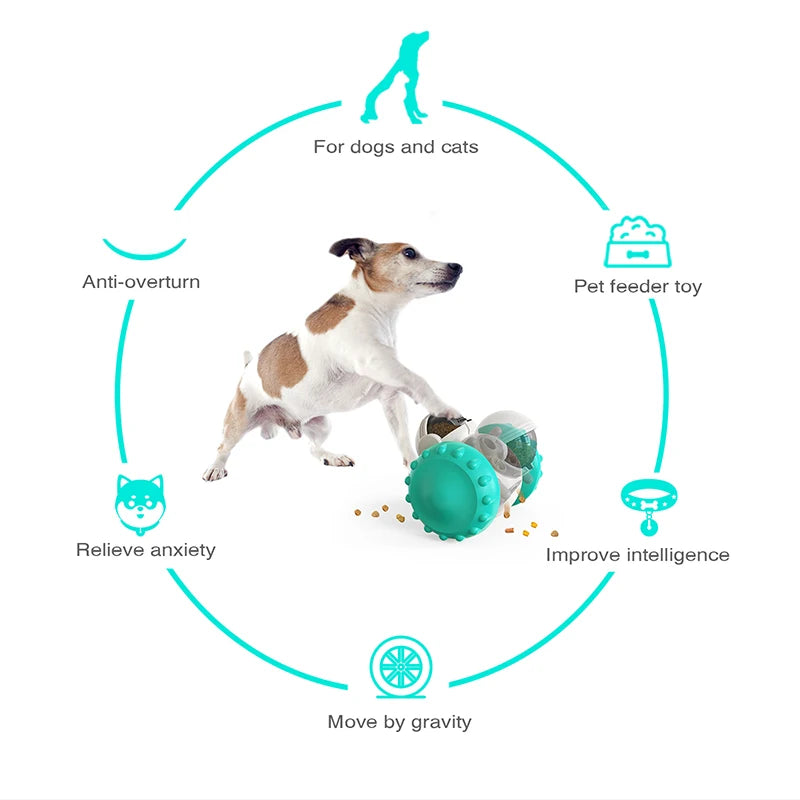 Interactive training toy for cats and dogs -