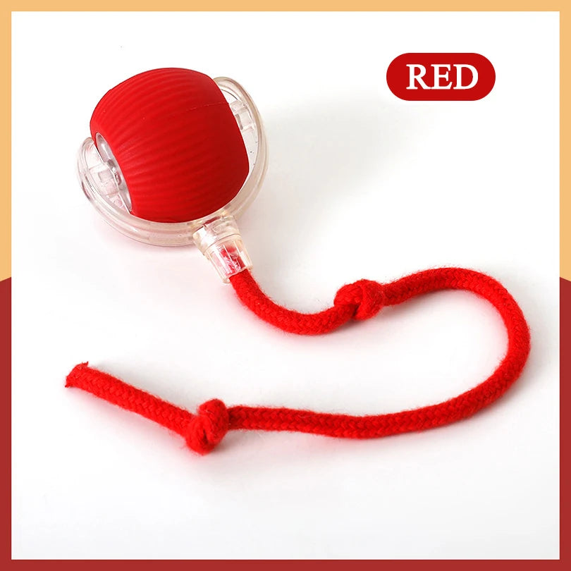 Motion Activated Interactive Cat Toy for Indoor -