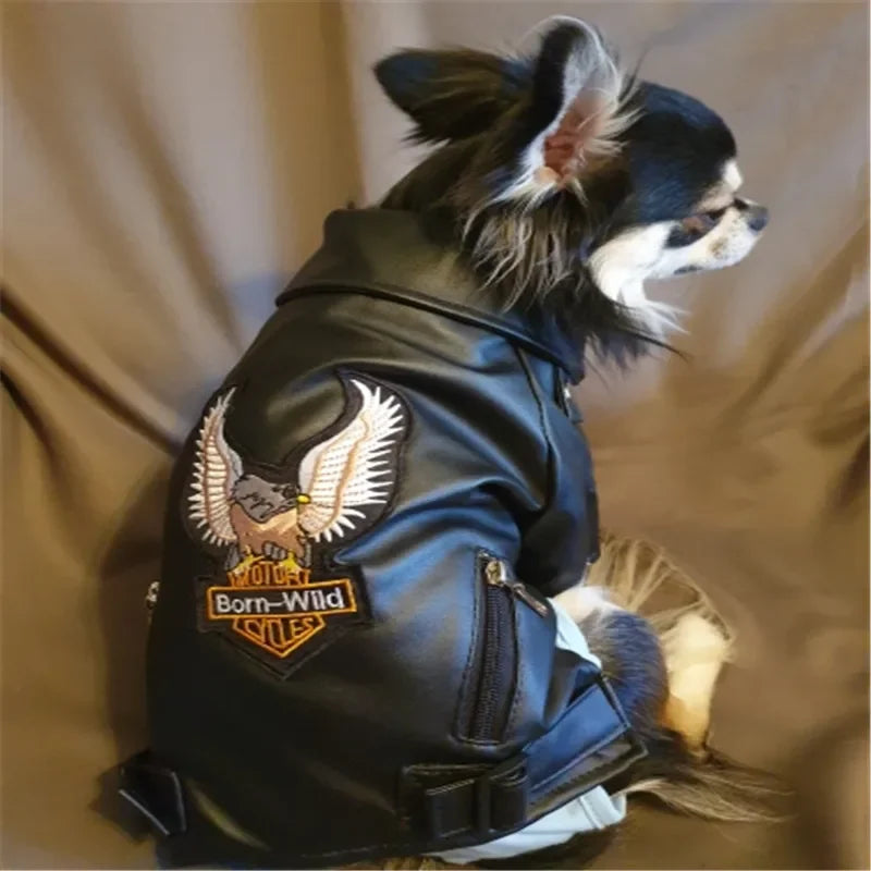 Glorious Eagle Pattern Dog Coat Jacket Soft Waterproof -