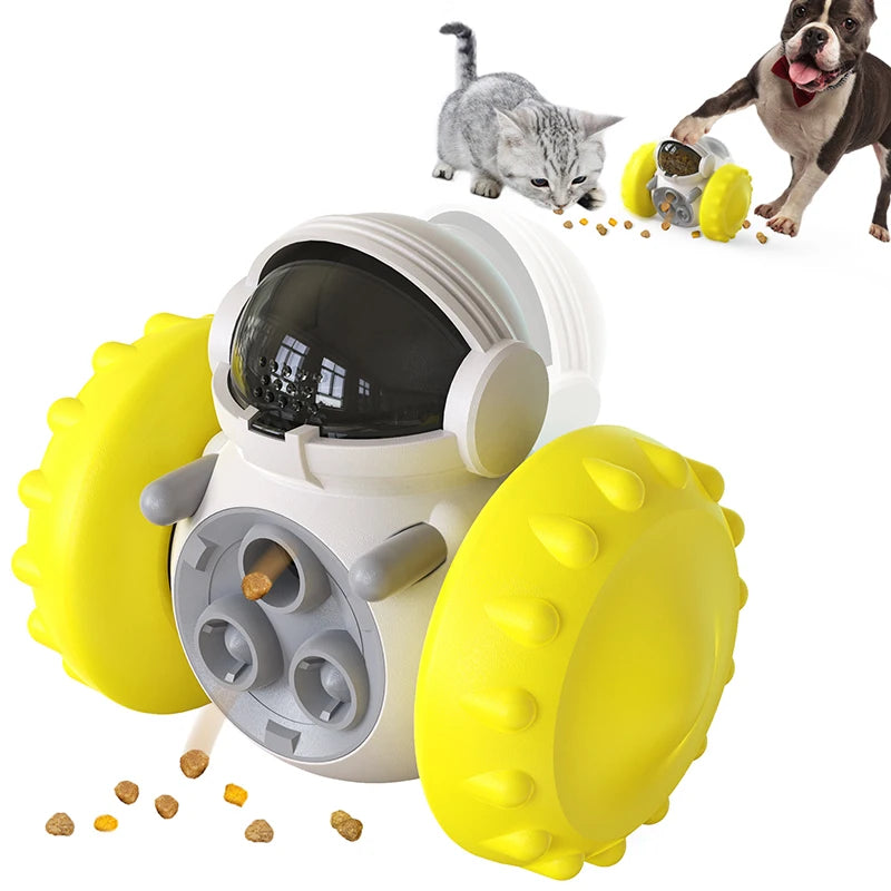 Interactive training toy for cats and dogs -