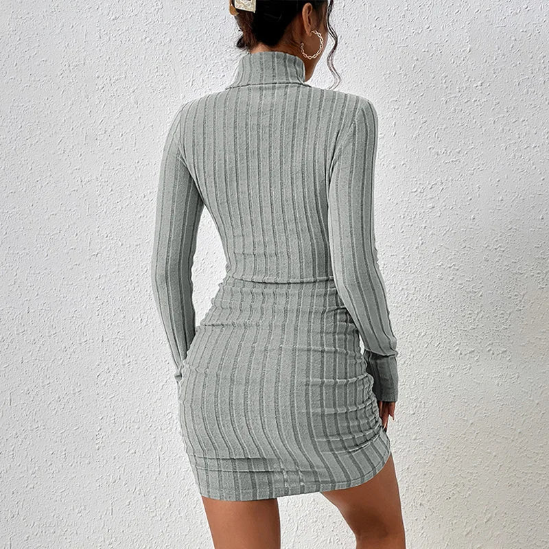 Long Sleeves Turtleneck Dress -