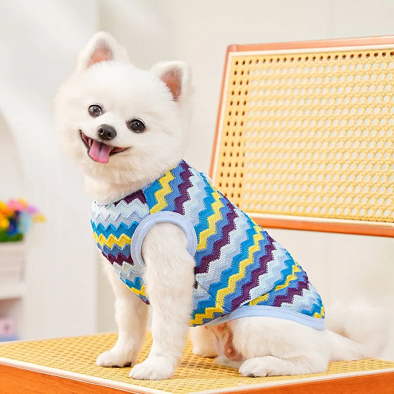 Keep your pets comfortable and stylish with these breathable and soft cat clothes—ideal for both cats and dogs to wear with ease and comfort! -