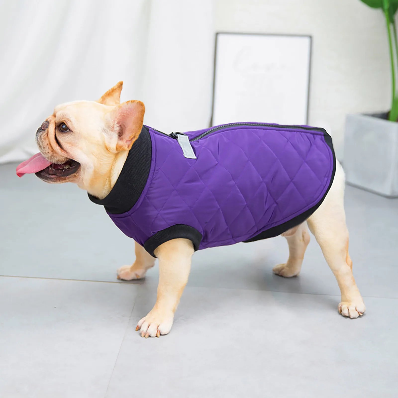 Pet Dog Clothes Winter Warm Padded Dog Clothes Waterproof Pet Coats Vest Jacket For Small Medium dogs Puppy Costumes -