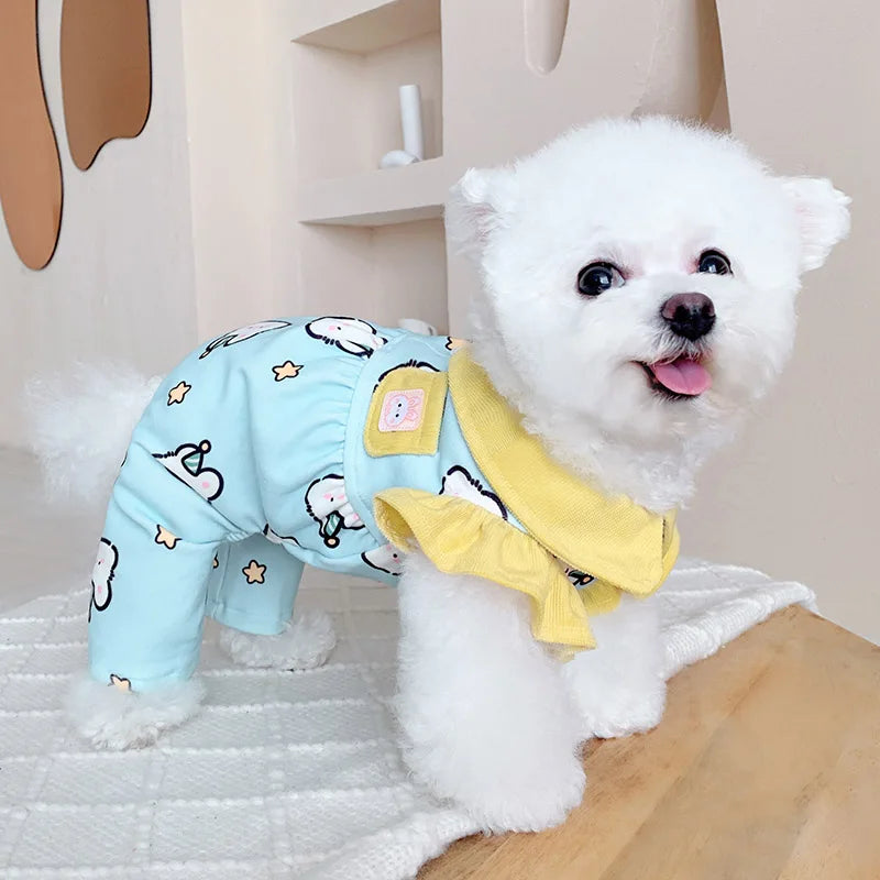 Keep your dogs comfortable at home with these cozy pet clothes—ideal for lounging and relaxing in style! -