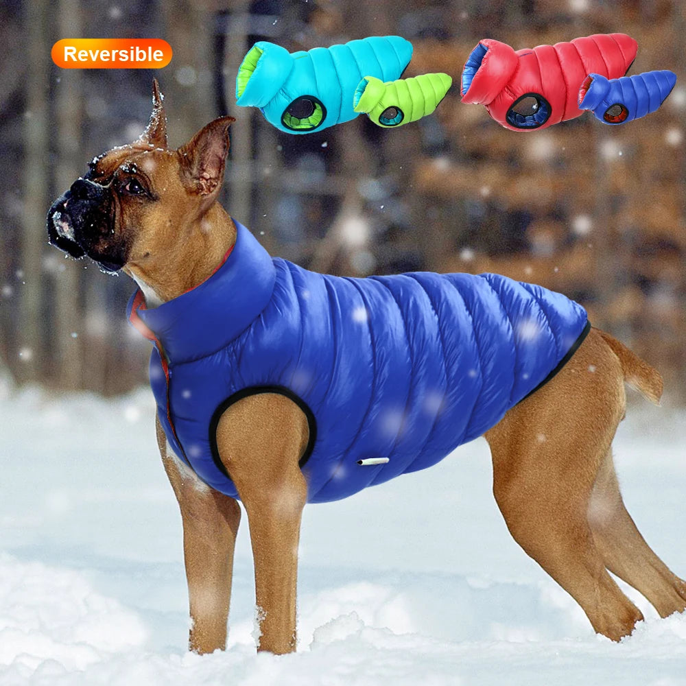 3 Layer Waterproof Outfit for Dogs -