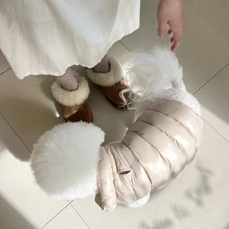Keep your pet warm and fashionable with this soft cotton coat—a cozy and stylish addition to your pet's wardrobe! -