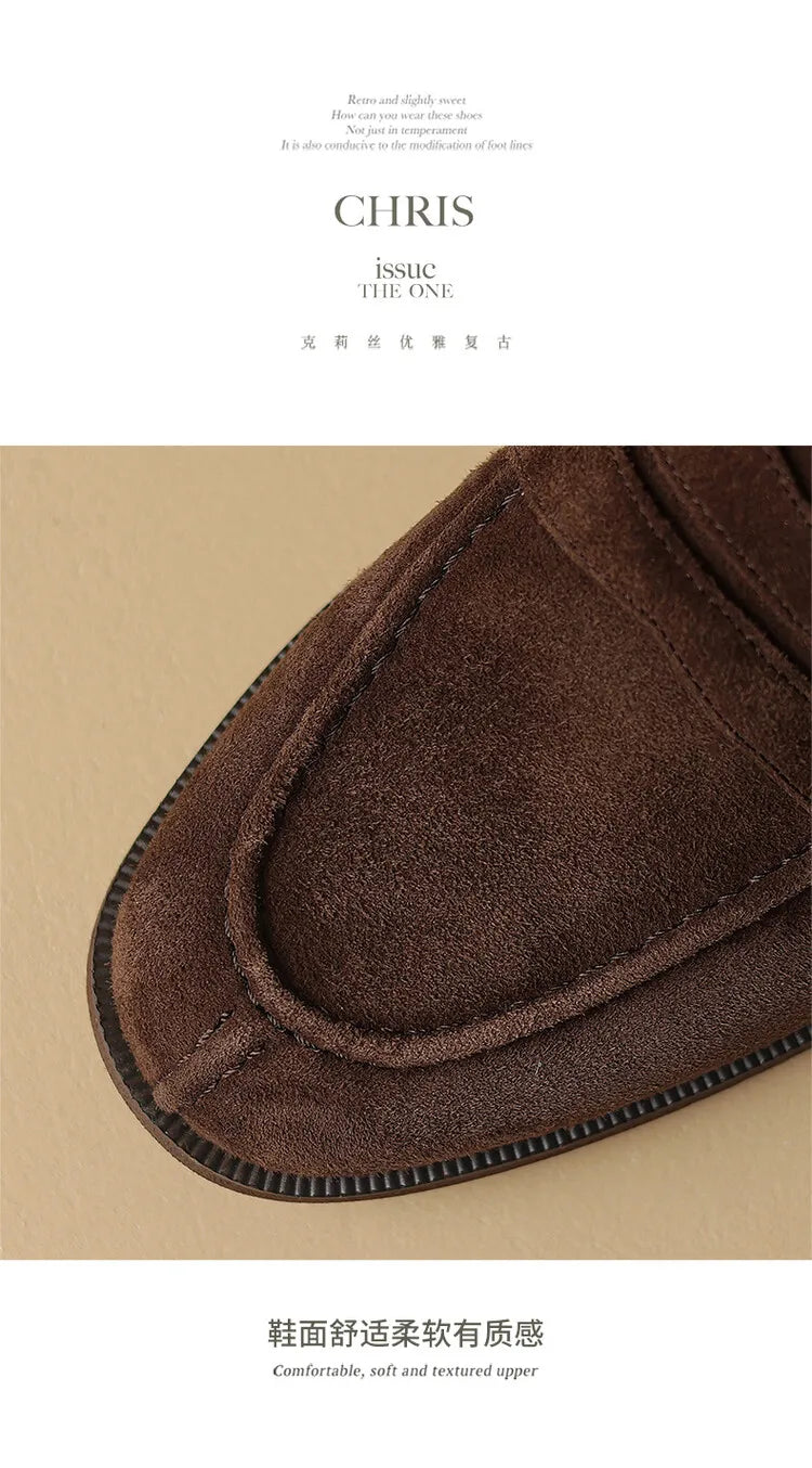 Brown Casual Flats -