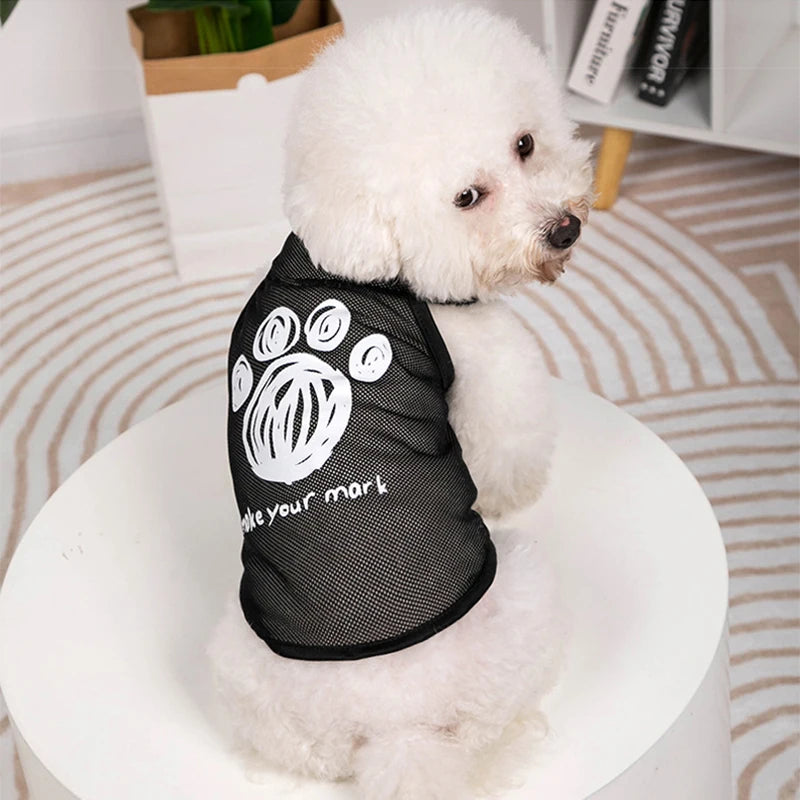 Keep your pets stylish and cozy with these fashionable cat and dog clothes—perfect for adding a touch of flair to their wardrobe! -