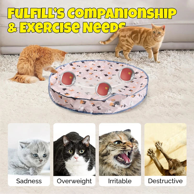 Motion Activated Interactive Cat Toy for Indoor -