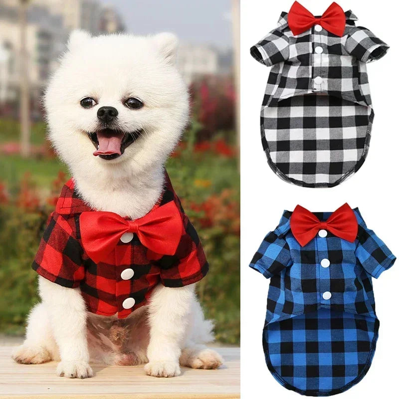 Dress your pet in a stylish plaid and striped shirt—perfect for adding a touch of sophistication to your furry friend's wardrobe! -