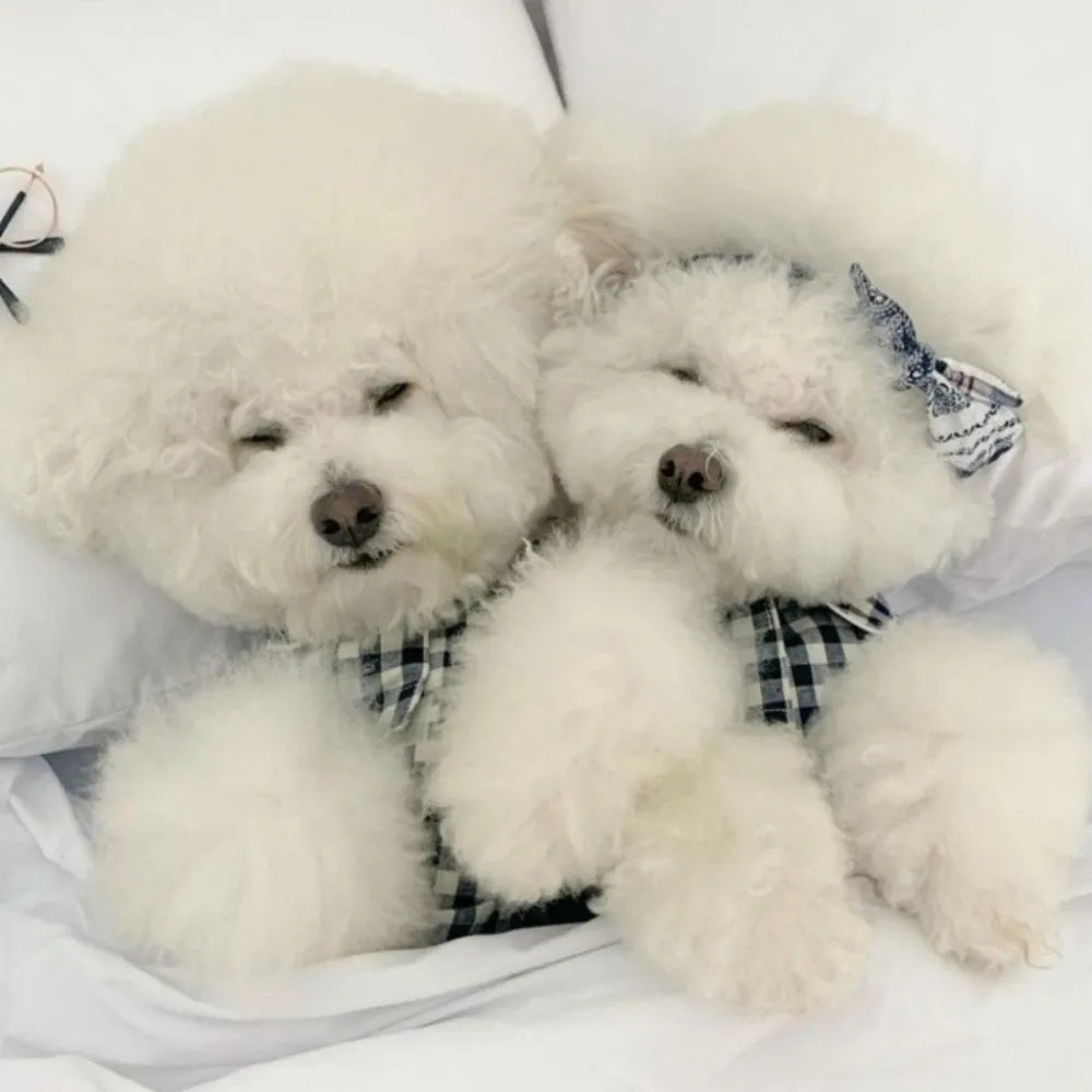Keep your pets looking fashionable with this cute and elegant pet clothing—perfect for pet parties and special occasions, ensuring your furry friends are dressed to impress! -