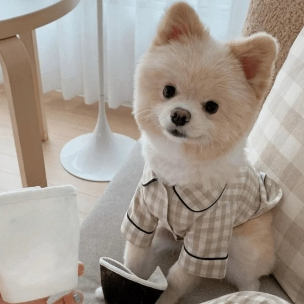 Keep your pets looking fashionable with this cute and elegant pet clothing—perfect for pet parties and special occasions, ensuring your furry friends are dressed to impress! -