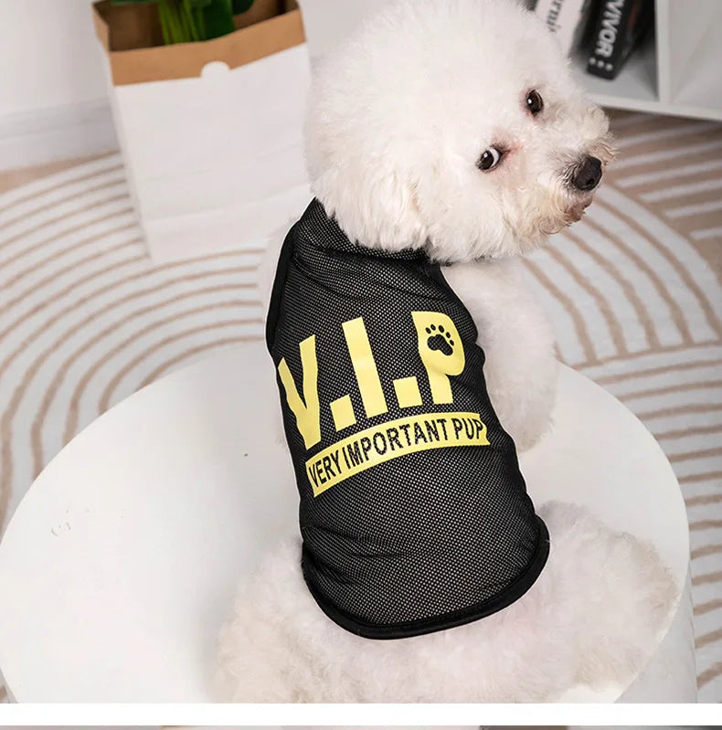 Keep your pets stylish and cozy with these fashionable cat and dog clothes—perfect for adding a touch of flair to their wardrobe! -
