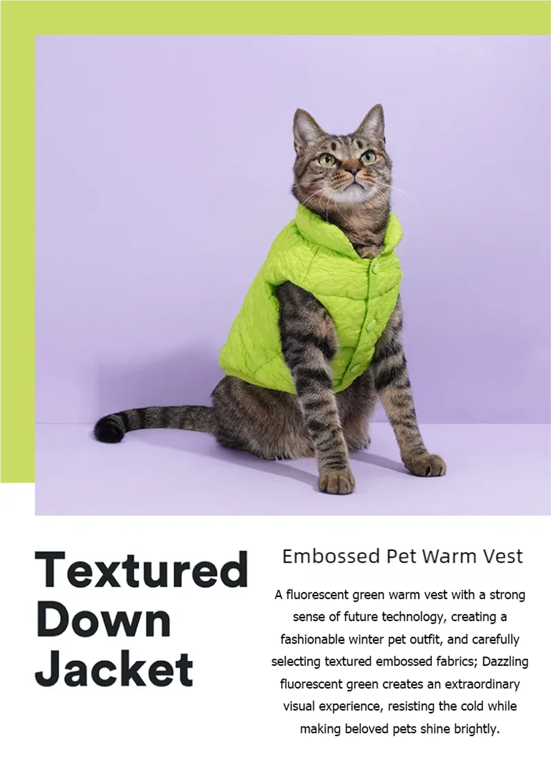 Keep your pets warm in the winter cold with these cotton clothing options—suitable for both cats and dogs, providing universal comfort and warmth! -