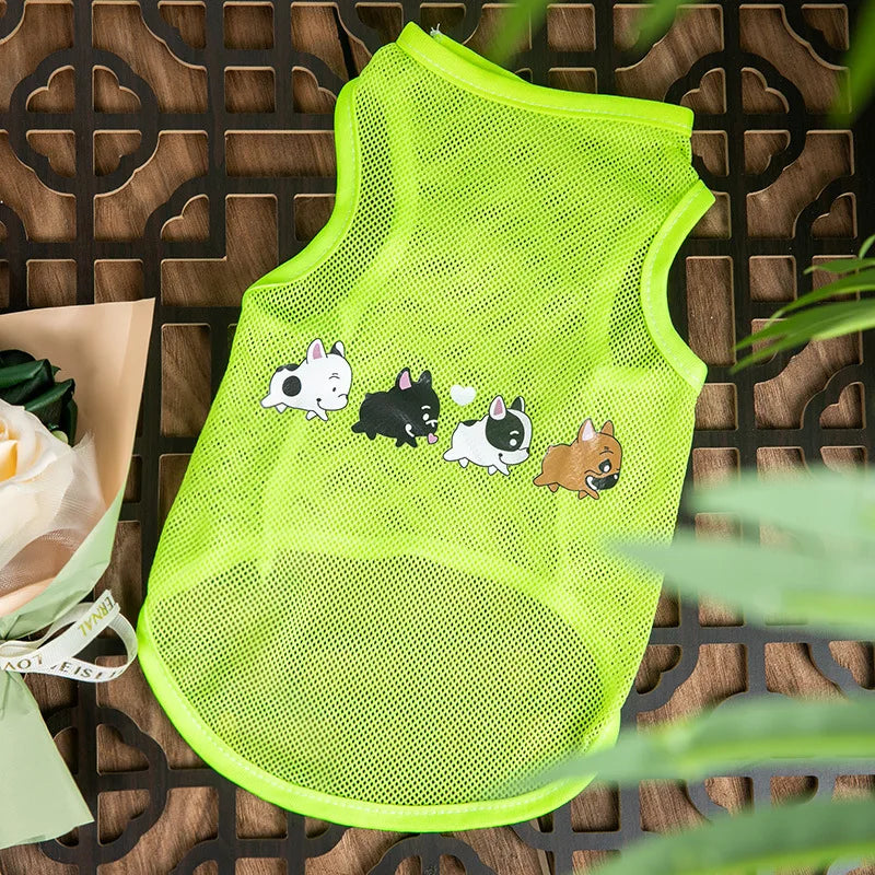 Keep your pets stylish and cozy with these fashionable cat and dog clothes—perfect for adding a touch of flair to their wardrobe! -