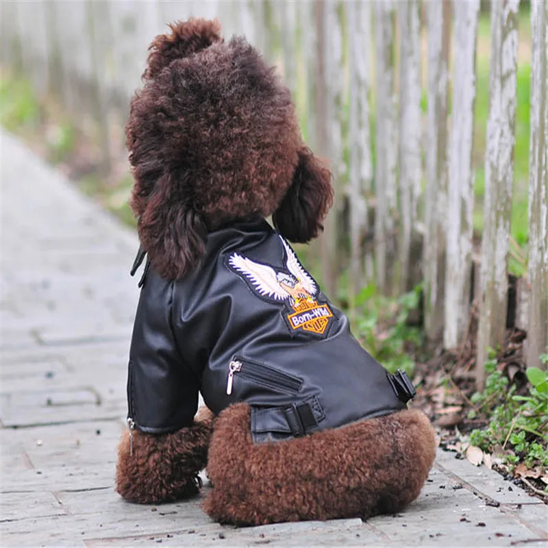 Glorious Eagle Pattern Dog Coat Jacket Soft Waterproof -