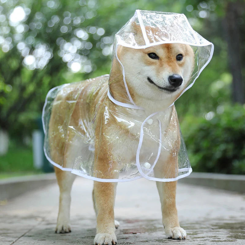Keep your pet dry in style with this transparent rainwear raincoat for dogs—perfect for providing protection and keeping your furry friend dry during rainy days! -