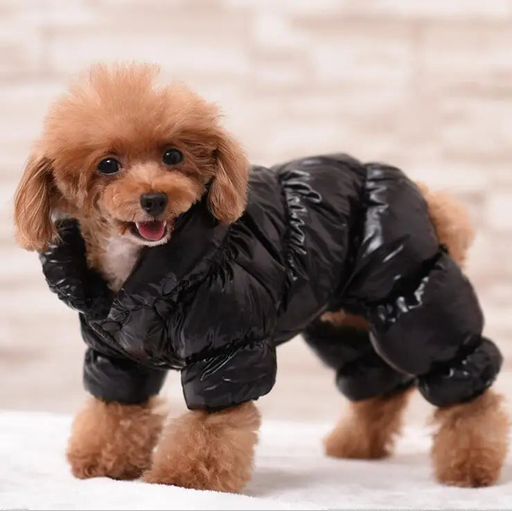 Keep your furry friend warm and stylish in the winter with this dog jumpsuit romper—perfect for overall comfort and coziness! -