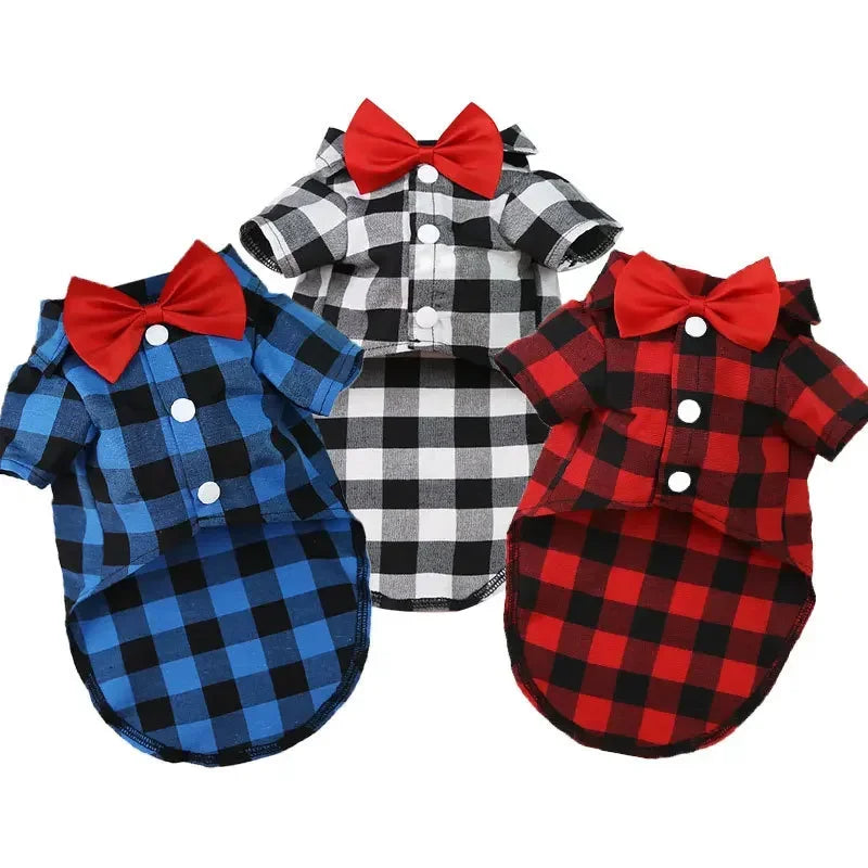 Dress your pet in a stylish plaid and striped shirt—perfect for adding a touch of sophistication to your furry friend's wardrobe! -