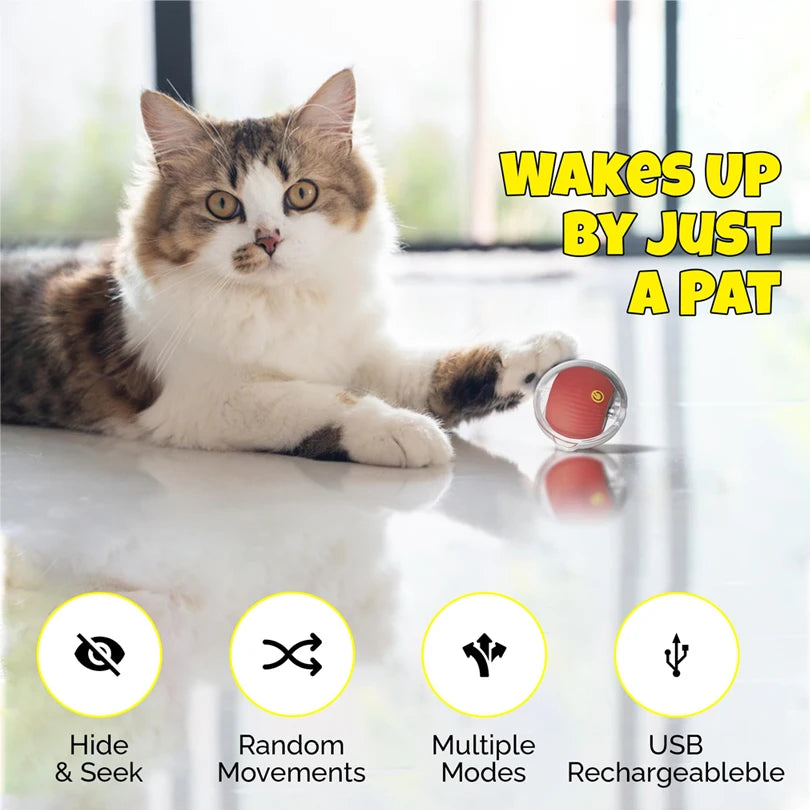 Motion Activated Interactive Cat Toy for Indoor -