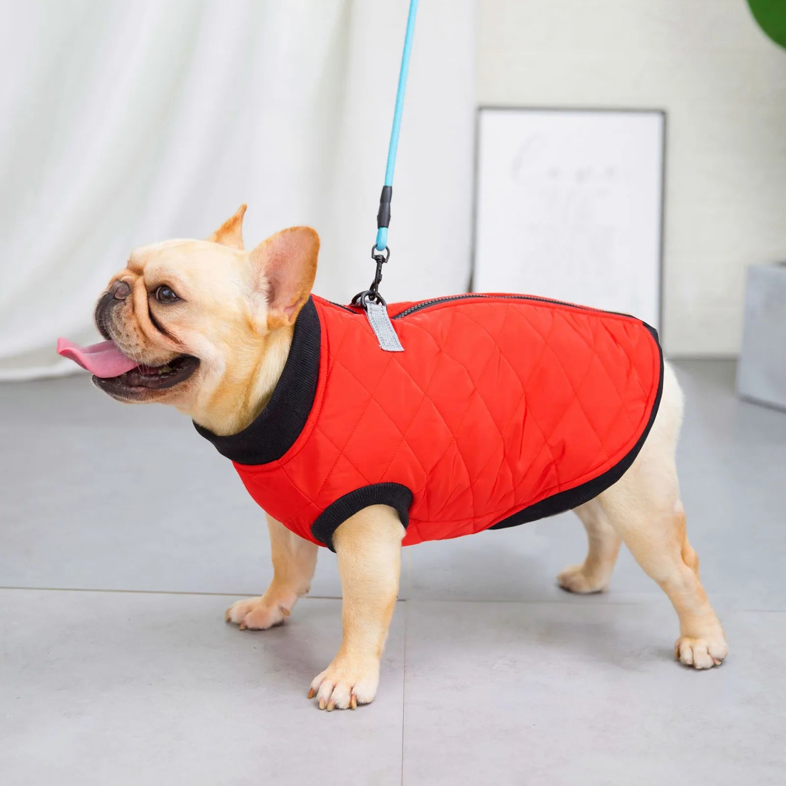 Pet Dog Clothes Winter Warm Padded Dog Clothes Waterproof Pet Coats Vest Jacket For Small Medium dogs Puppy Costumes -
