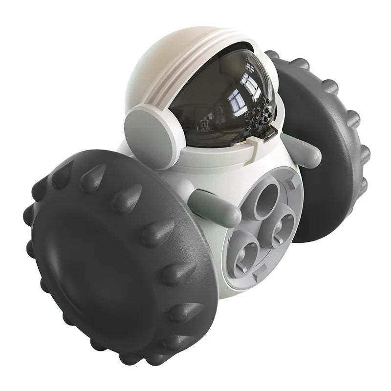 Interactive training toy for cats and dogs -