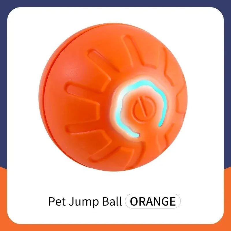 Smart Toy for cats and dogs -