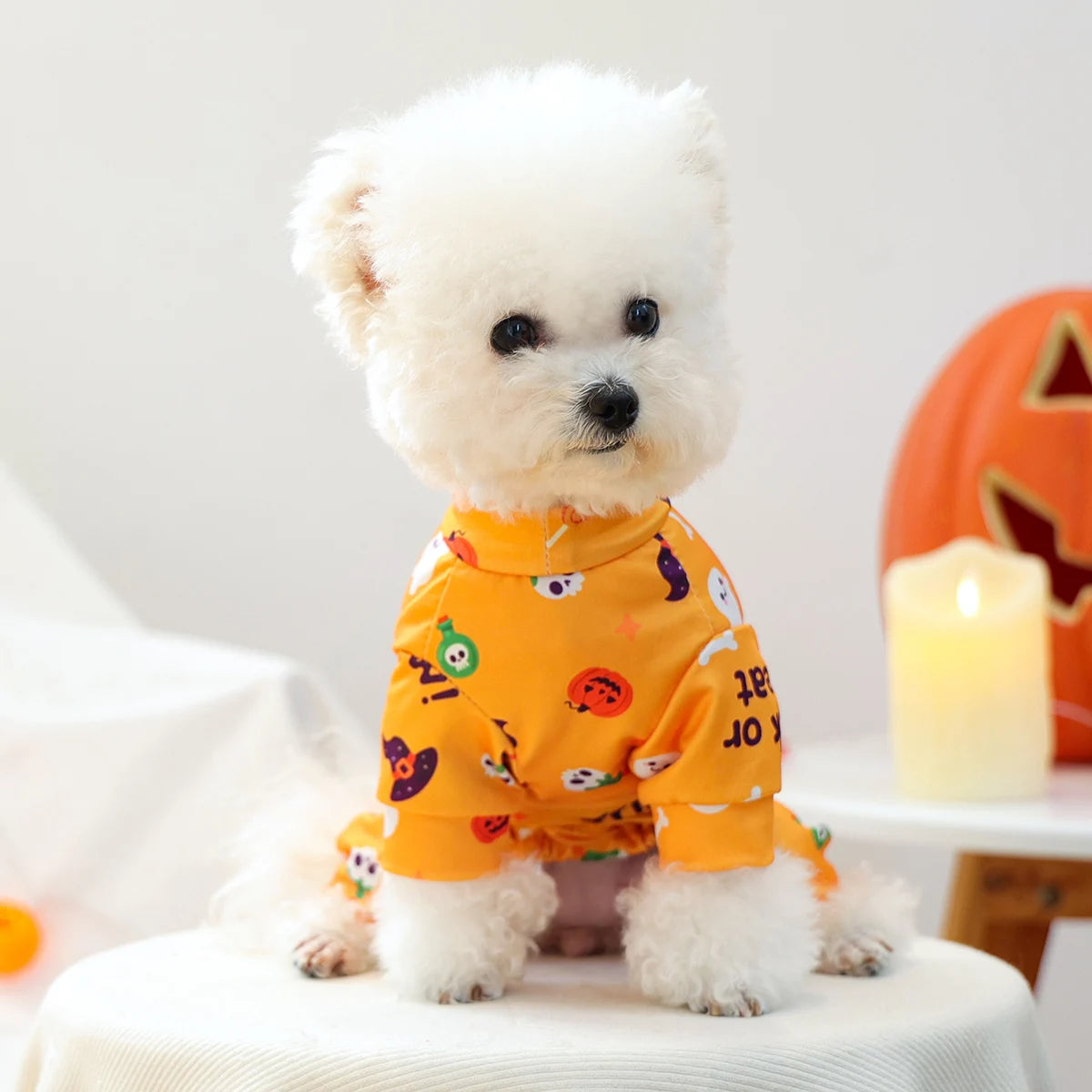 Dress your furry friend in style with these handsome, cute, and beautiful dog costumes for puppies—perfect for adding a touch of charm to their wardrobe! -