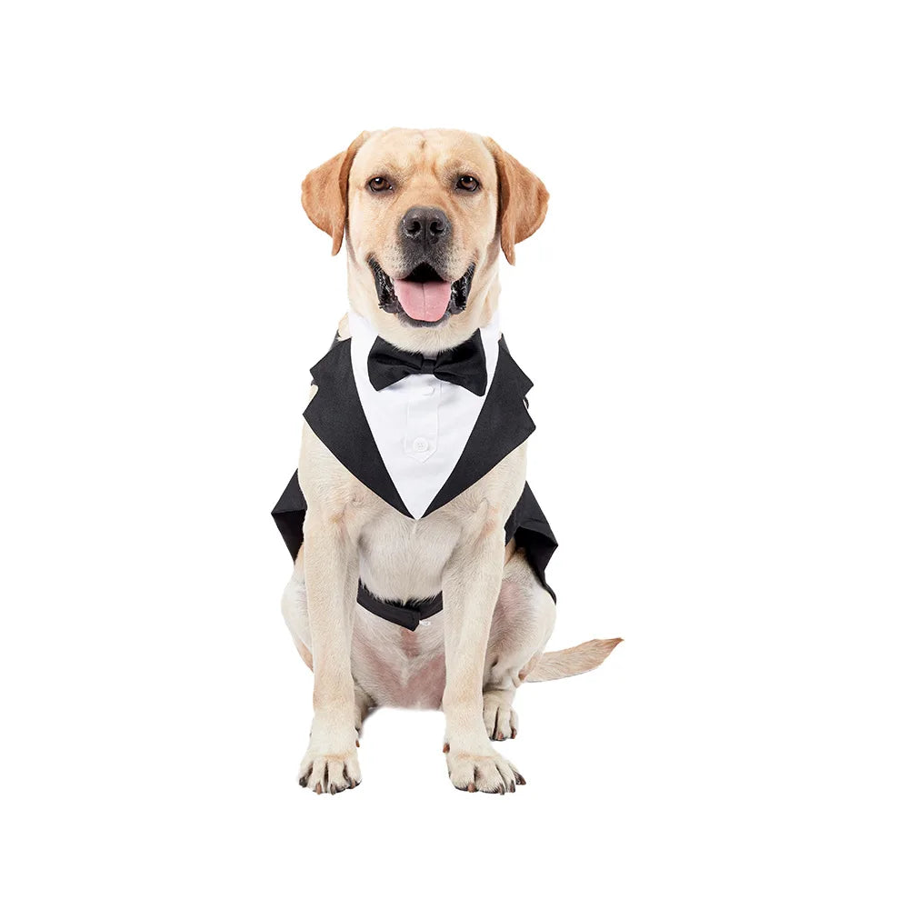 Dress up your pup for the occasion with this fashion-forward party show formal suit featuring a tie bow tuxedo—perfect for making a stylish statement! -