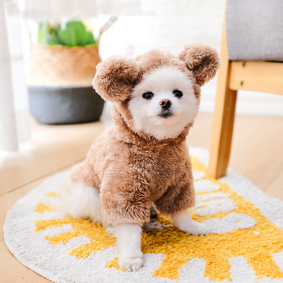 Dress your furry friends to impress with adorable teddy bear, dog, and cat pet costumes! -