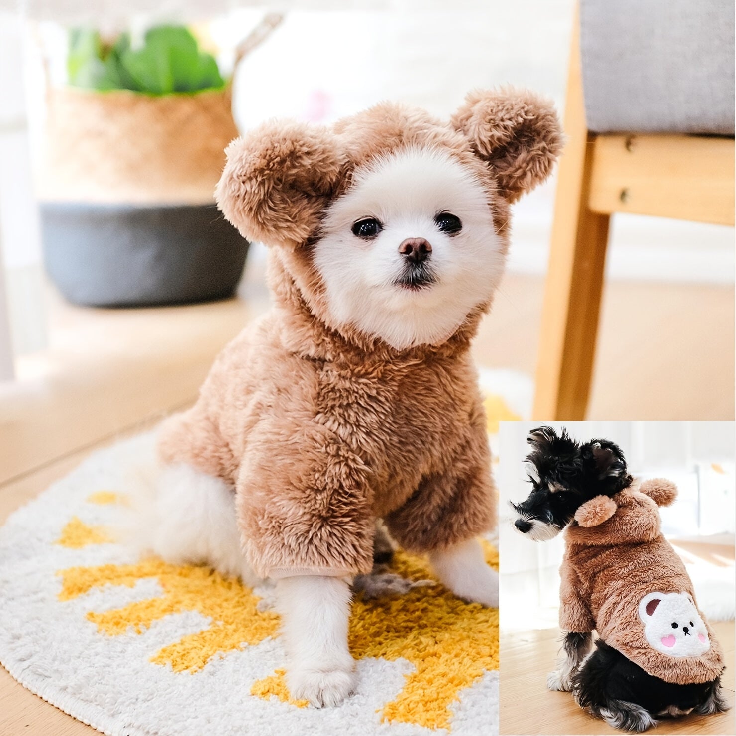 Dress your furry friends to impress with adorable teddy bear, dog, and cat pet costumes! -
