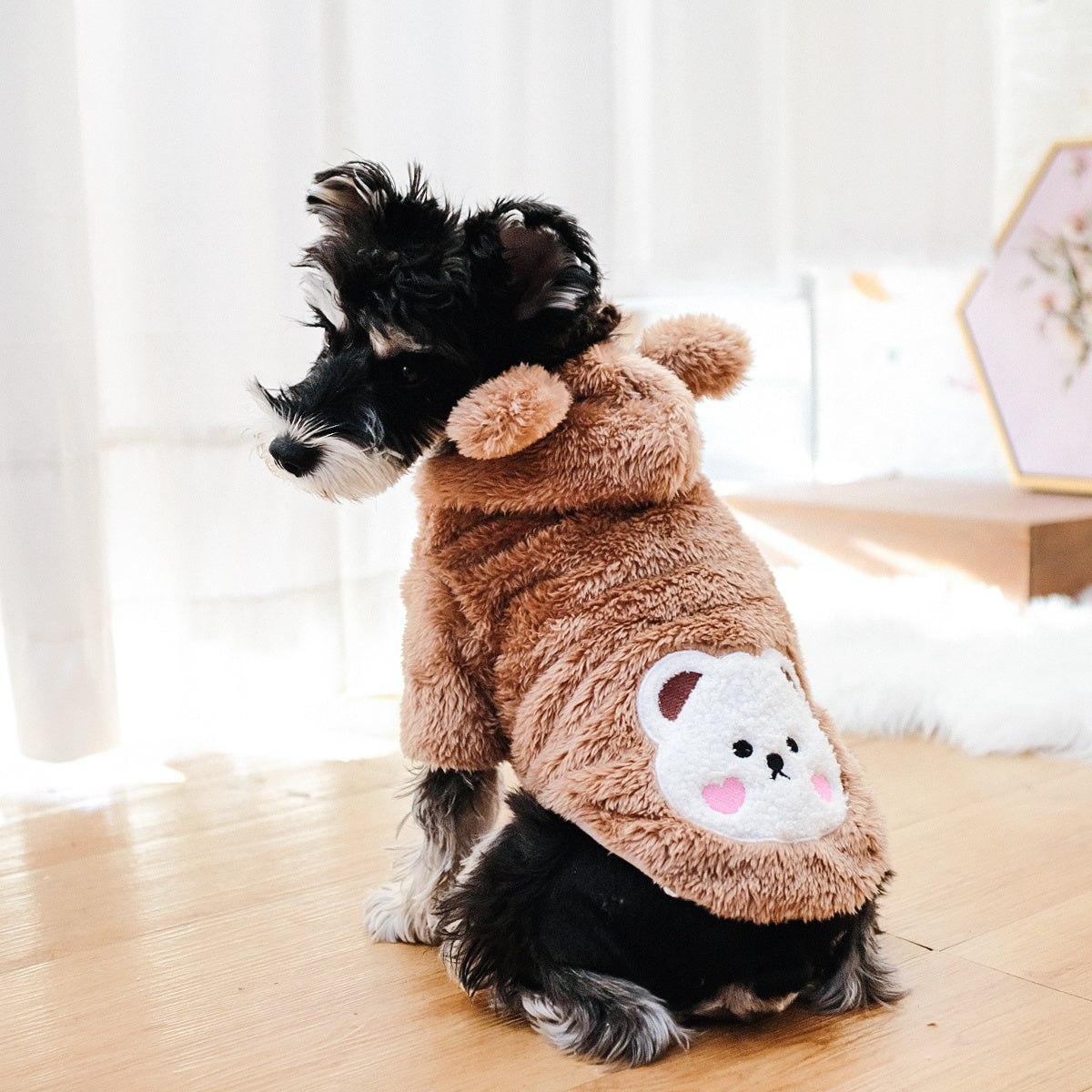 Dress your furry friends to impress with adorable teddy bear, dog, and cat pet costumes! -