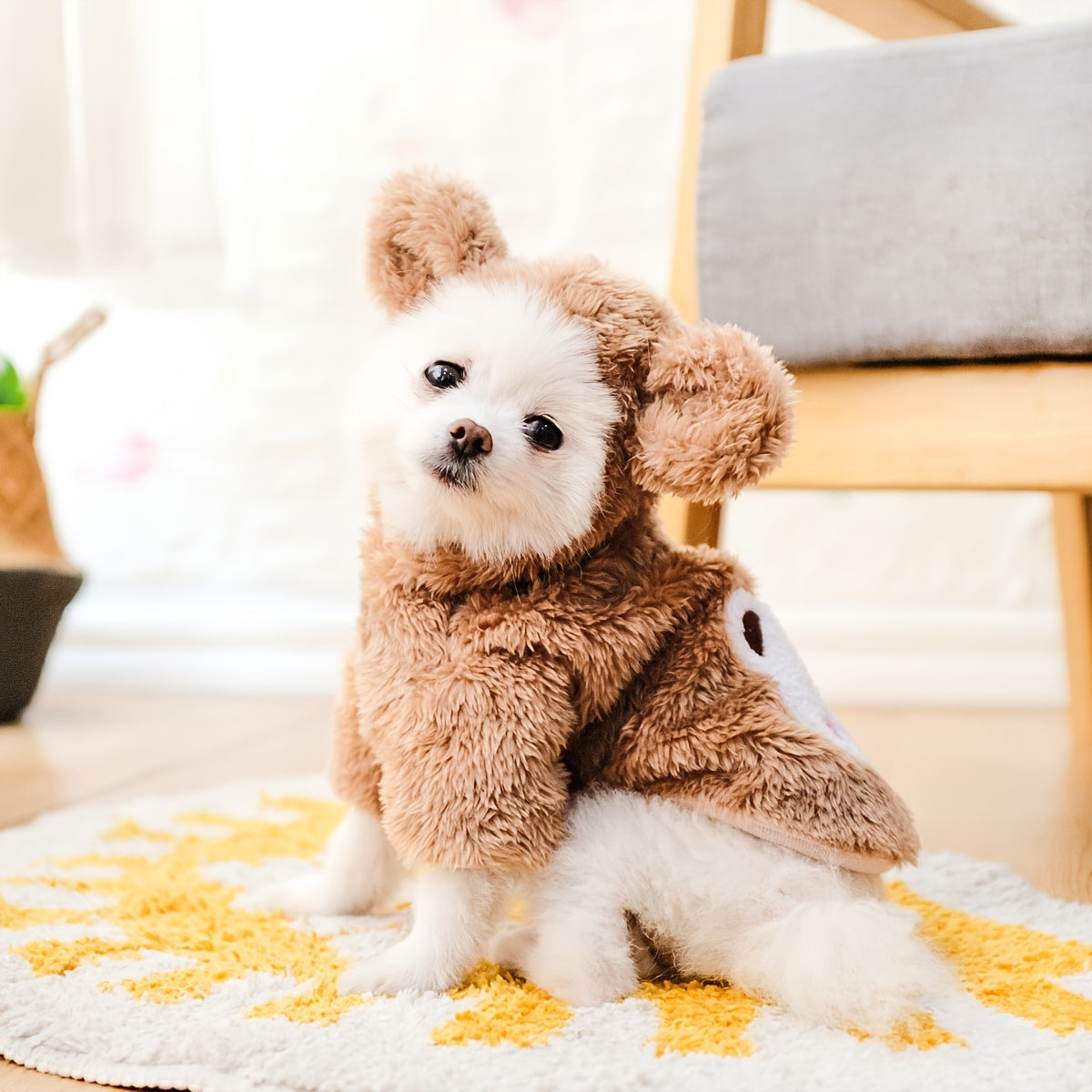 Dress your furry friends to impress with adorable teddy bear, dog, and cat pet costumes! -