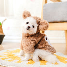 Dress your furry friends to impress with adorable teddy bear, dog, and cat pet costumes! -