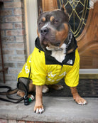 Dog Clothes Raincoat Dogs -