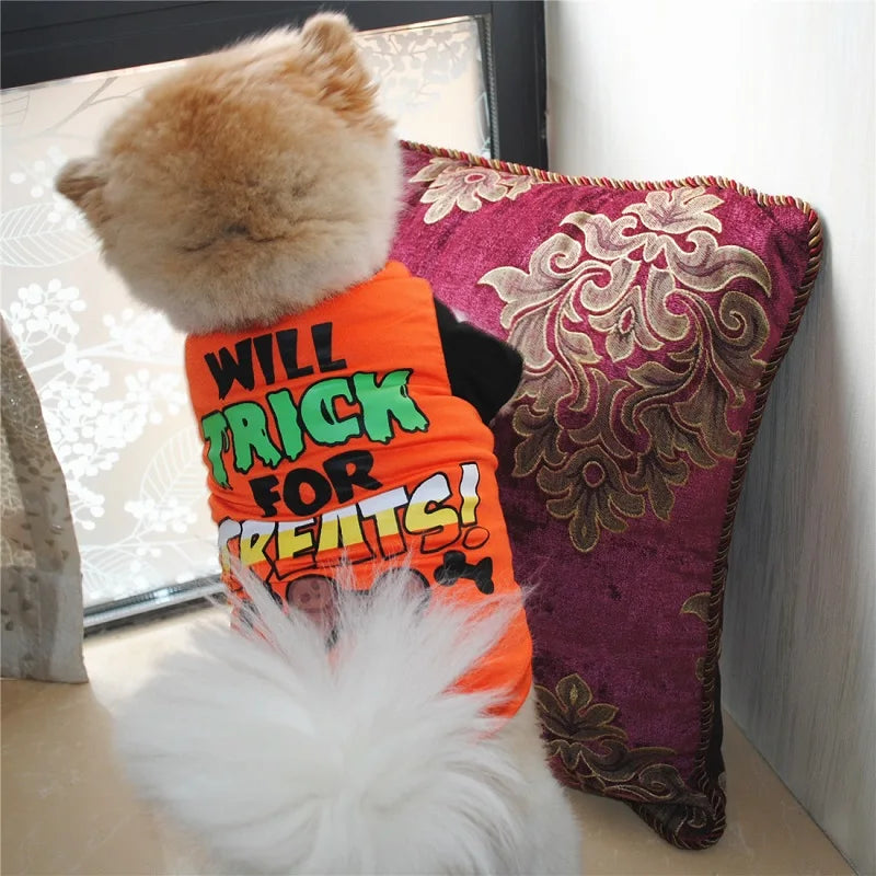 Dress your furry friend in a fashionable and cute vest—perfect for dogs and cats to showcase their style and charm! -