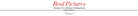 Plus Size Midi Dress for Women Elegant Print Party Dress 2024 Sleeveless Slim Dress -