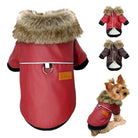 Dog Leather Jacket (Warm) -