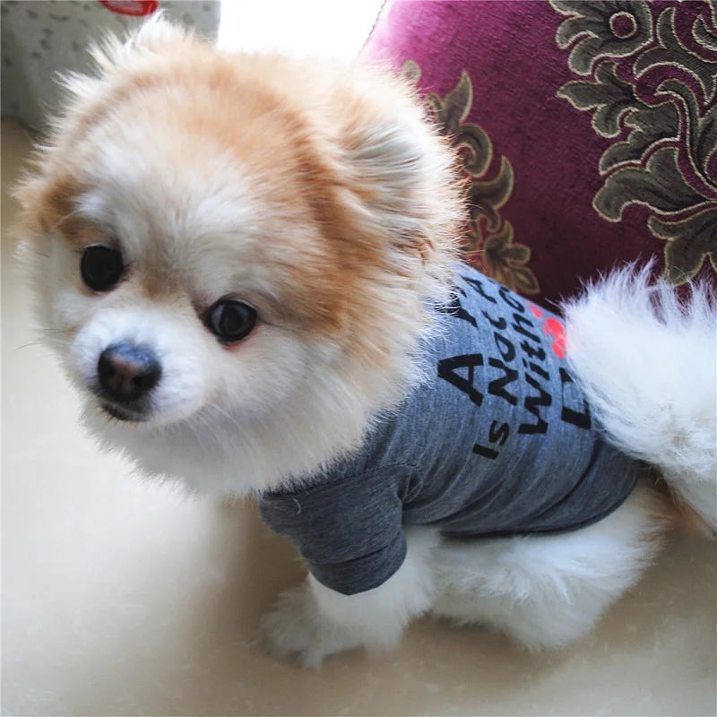 Dress your furry friend in a fashionable and cute vest—perfect for dogs and cats to showcase their style and charm! -