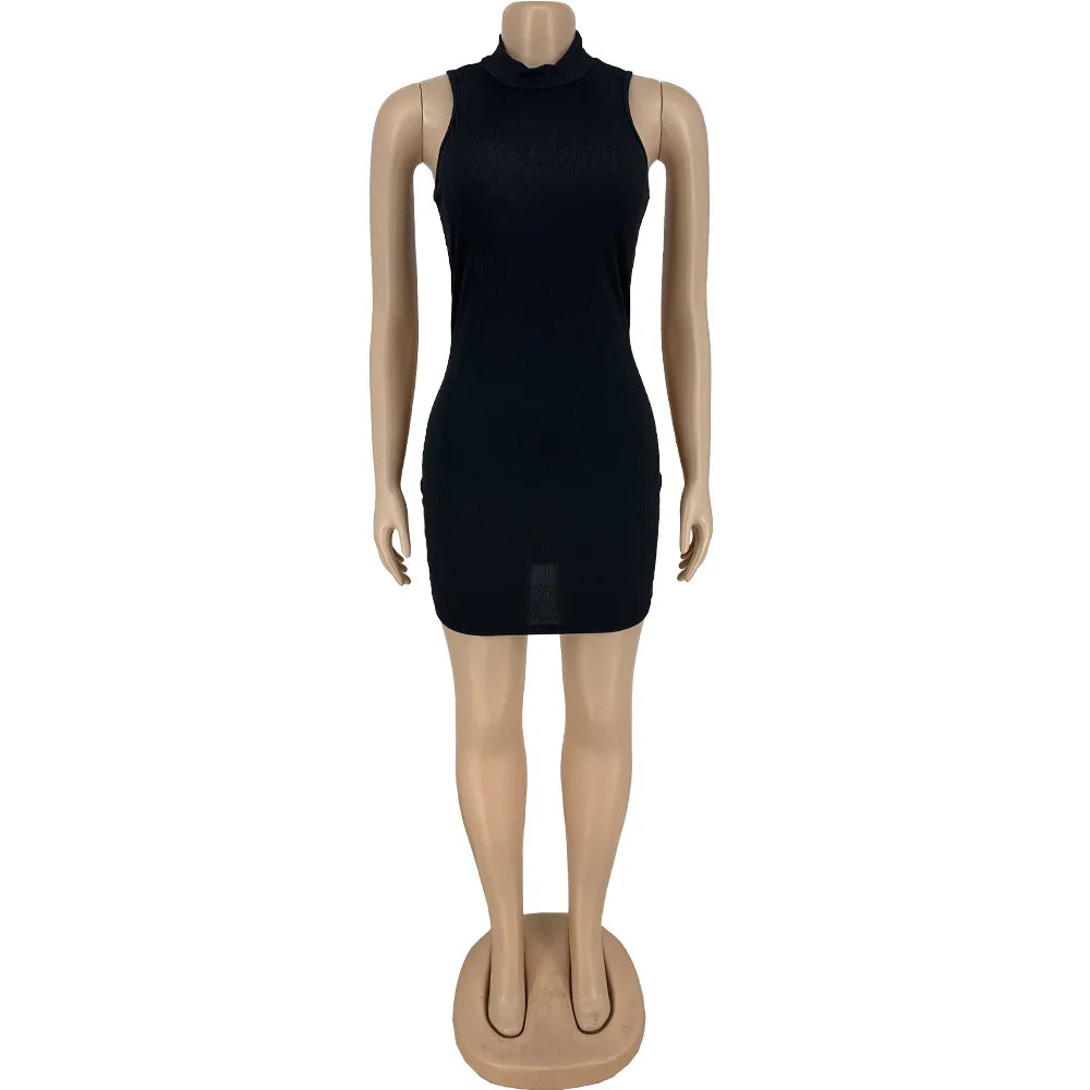 Sleeveless Dress -