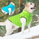 3 Layer Waterproof Outfit for Dogs -