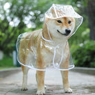 Keep your pet dry in style with this transparent rainwear raincoat for dogs—perfect for providing protection and keeping your furry friend dry during rainy days! -