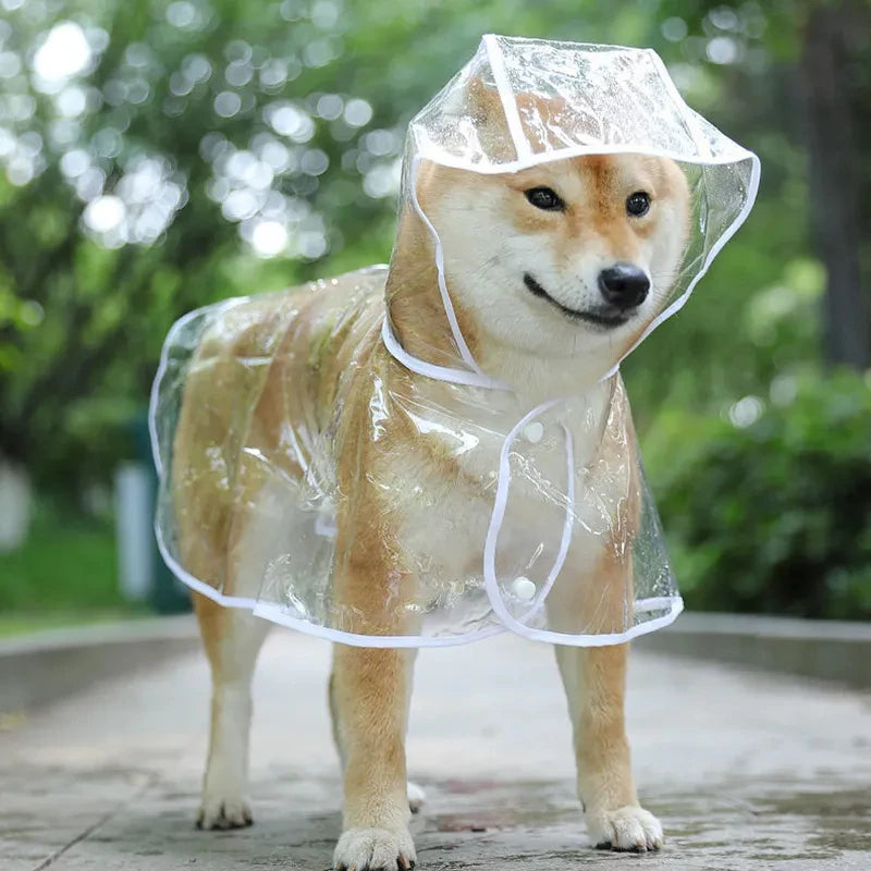 Keep your pet dry in style with this transparent rainwear raincoat for dogs—perfect for providing protection and keeping your furry friend dry during rainy days! -