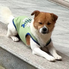 Small Dog & Cats T-shirts Pet Clothing -